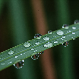 Gocce d'acqua trasparente