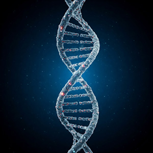 Rappresentazione simbolica del DNA con 12 filamenti